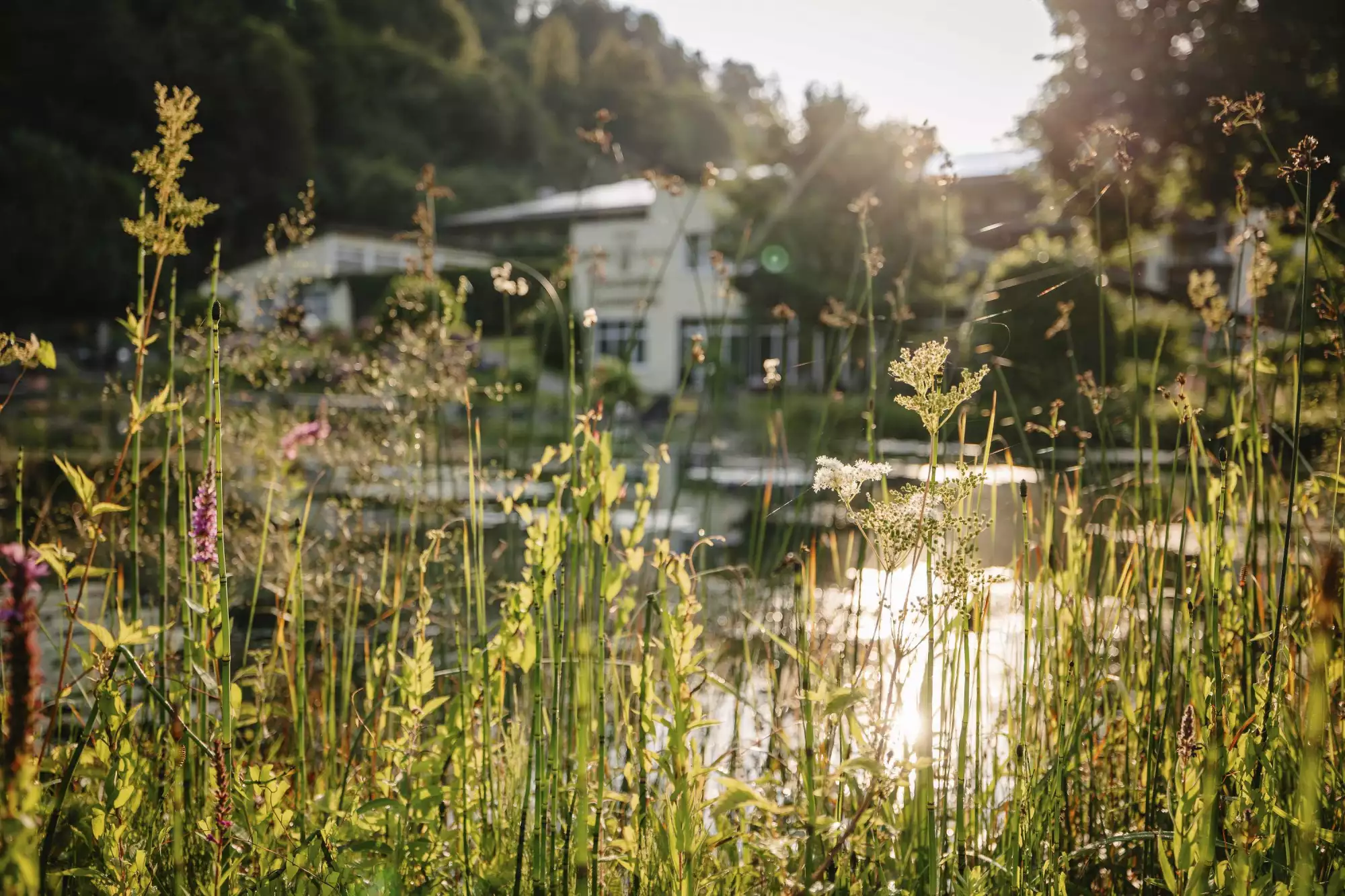Inklusivleistungen der Vitalquelle Montafon im Überblick